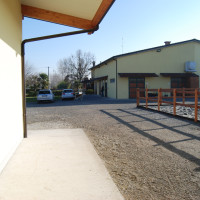 clinica equina san biagio galleria 04