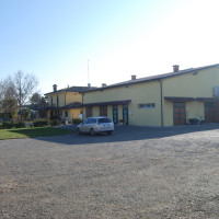 clinica equina san biagio galleria 05